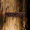 Red.Wood