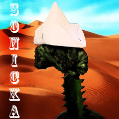 SoniCKa