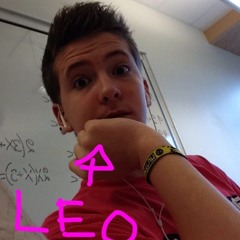 Leo Slicket Slyngbom