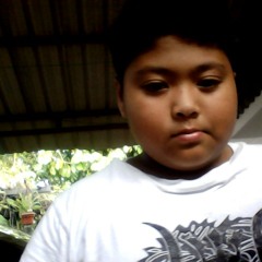 Mizie Stylo