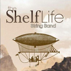 Shelf Life String Band