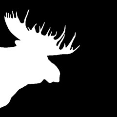 Music For Moose