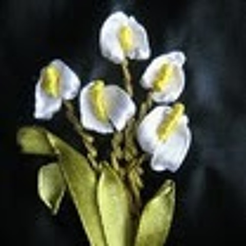 Primula Calyx’s avatar