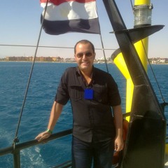 Mohamed Fathy 155