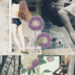 Home By Hovercraft - Thank You For Being So Nice And Cooperative