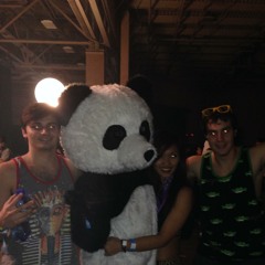 Animal remixes