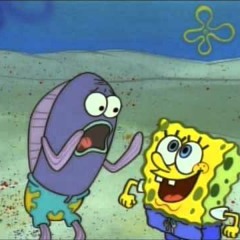 BobSponge