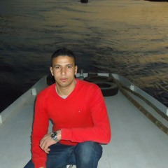 Mahmoud Elgohary 5