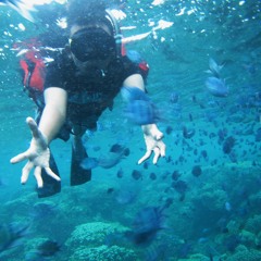 Muhammad Syafiqul Izzi