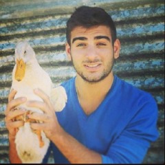 Arsen Mayisoglu