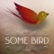 somebirdmusic