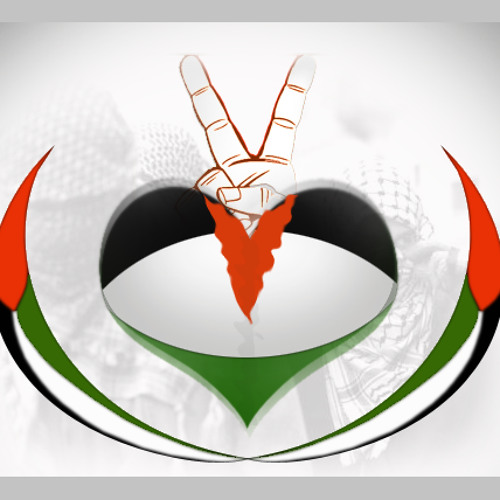 باسل جبارين ~ 13