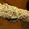 Get high