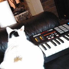 LAK Hunger Games Mocking Jay