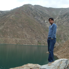 Muhammad Usman Javed