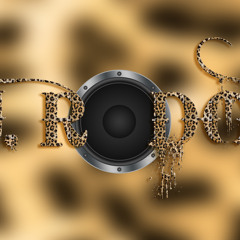 DJ Rodger Studios