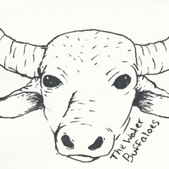 The Water Buffaloes