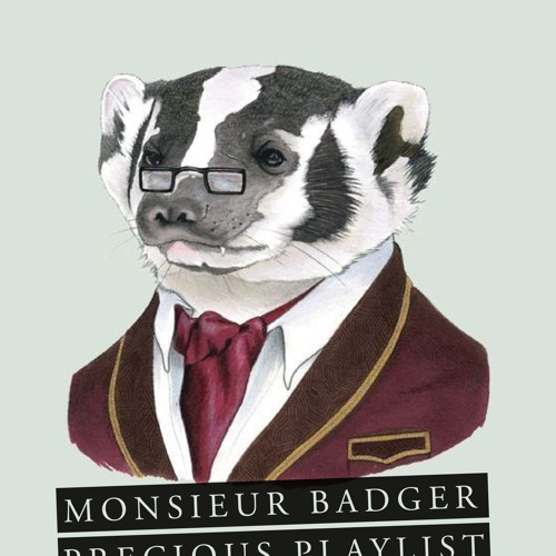 Monsieur Badger’s avatar