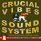 Crucial Vibes Soundsystem since 1992