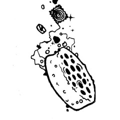 Sound Crumpet