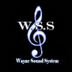 WAYNE SOUND SYSTEM