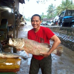 Dun Barcad