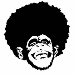 hazesolila