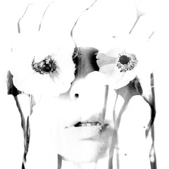 Cvetnoe Moloko