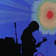 Van Dyke Parks Instrumental