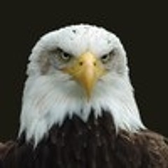 Chris 'Erro' Errington