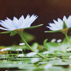 Cover Kris Orlowski All My People Go