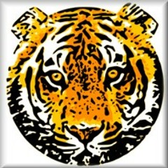 bdtiger2000