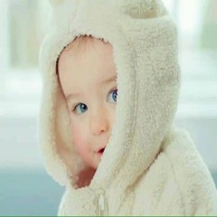 tarek zaid