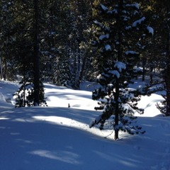 Jean Elizabeth Ballhorn