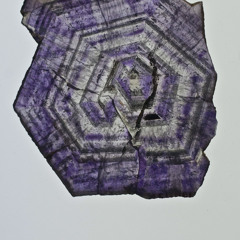 Petula Petulante