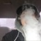 blvzin
