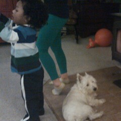 alx_dog