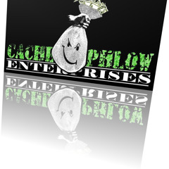 Cache Phlow Enterprises