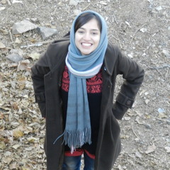 Shima.k
