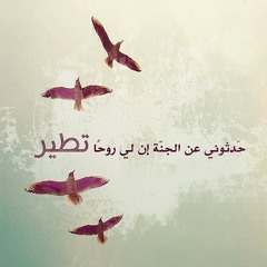 Asmaa Kandeel EL-Shazly