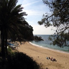 chiringuito cala canyelle