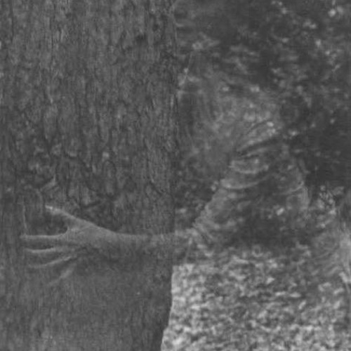 Joys of procrastination(Loop Mode)