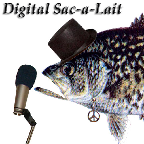 Digital Sacalait’s avatar
