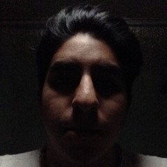 Abraham Perez-Negron