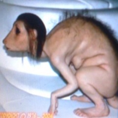 Ollie Don Ackford