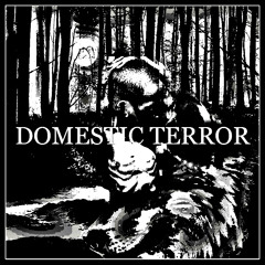 Domestic Terror
