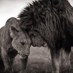 singhji