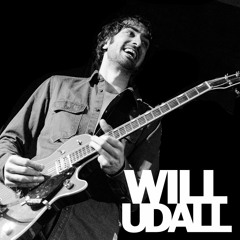 Will Udall