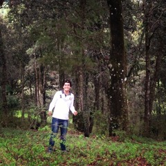 bismarckps