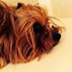 Aggelikh Xaralampidou